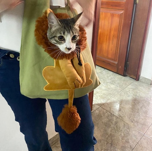 Bolso cargador para mascotas pequeñas gatos y perros