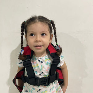 Chaleco Premium mario y luigi